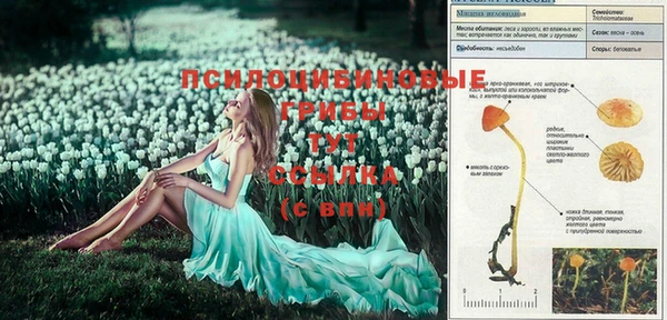 дмт Алексеевка