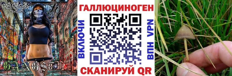 ссылка на мегу как войти  Полысаево  Псилоцибиновые грибы GOLDEN TEACHER 